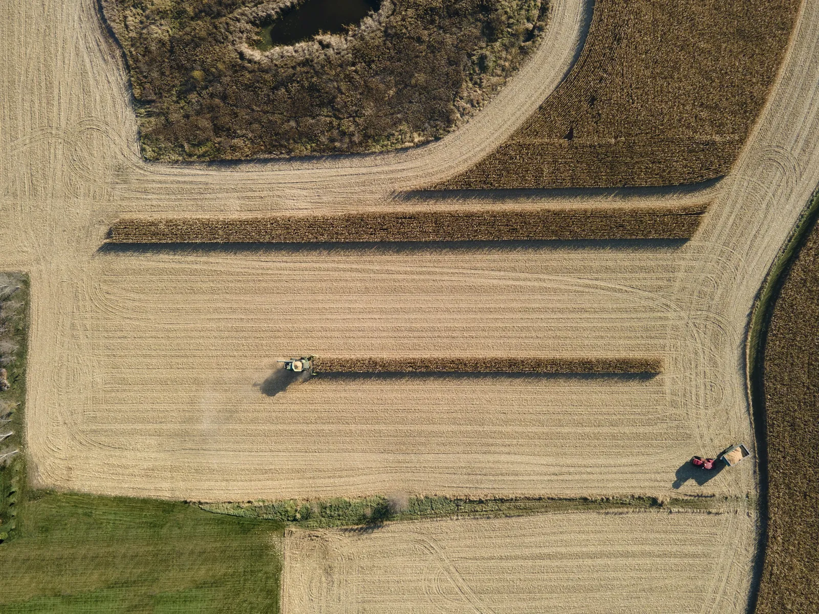Campi coltivati e mezzi agricoli visti dall’alto. Fotografia di contesto.